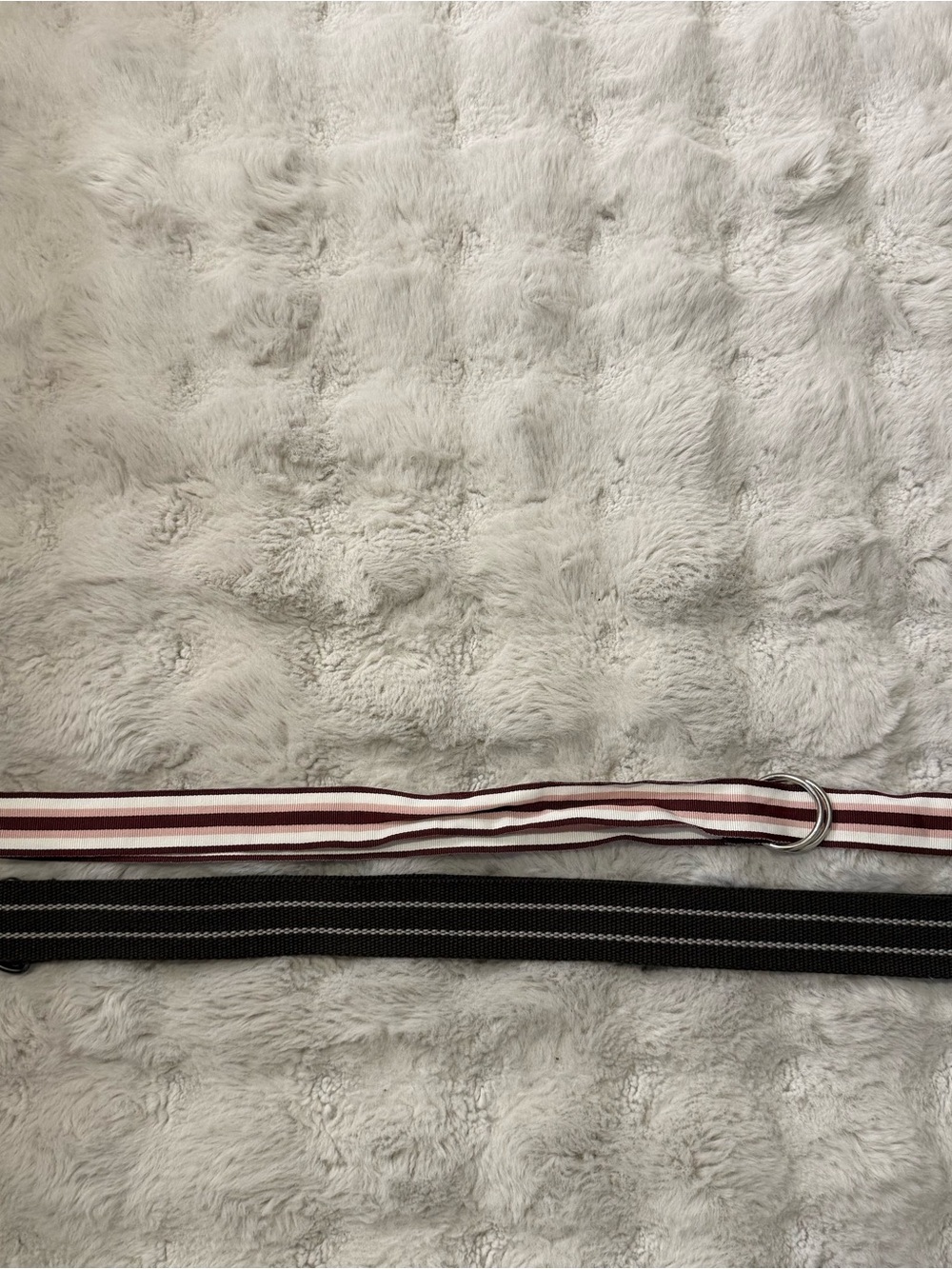 Y2K D-Ring Belt Bundle